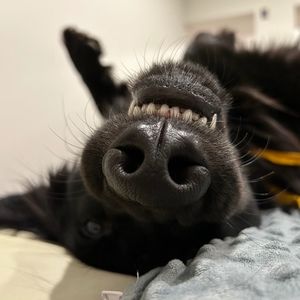 Meet your Posher, Jessi